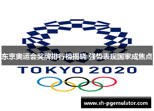 东京奥运会奖牌排行榜揭晓 强势表现国家成焦点 东京奥运会奖牌排行榜揭晓 强势表现国家成焦点